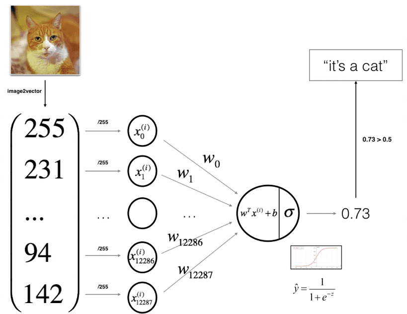 Artificial Neural Networks